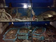 水产区-云南巷海鲜大咖·可加工海鲜