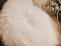 -黄氏正轩(桂林路店)