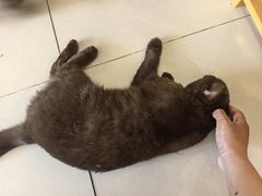 -平行世界·猫咖(首经贸店)