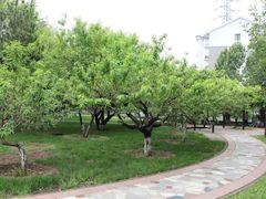 -寿山福海养老服务中心(石景山院)
