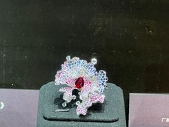 -中国地质博物馆