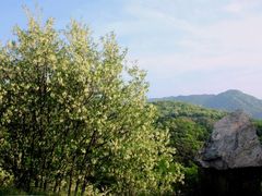 -鲁山国家森林公园