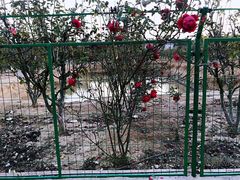 -呼吸森林·生态农庄农家乐私房菜