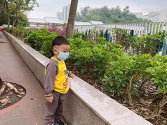 -屯门公园