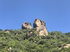-大岭沟猕猴桃谷风景区