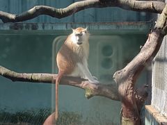 -宁波野生动物园
