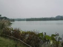 -白鹭湾湿地公园