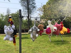 -艾溪湖湿地公园