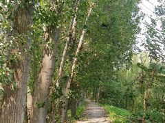 -东郊湿地公园