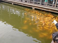 -枫香湖儿童公园