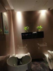 -史云逊养发护发