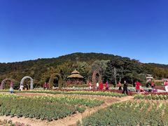 -广州市石门国家森林公园
