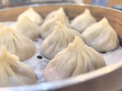 鲜肉小龙-大龙汤包