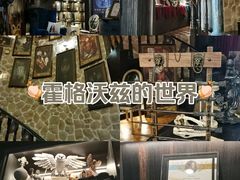 -雪灵魔法世界SHELLY’S TAROT(大良桂畔里店)