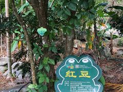 -呀诺达热带雨林