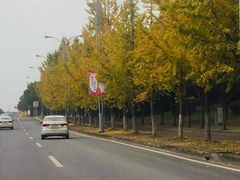 -胜华驾校·小猫学车(银都店)