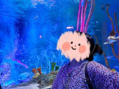 -沈阳海洋探索中心