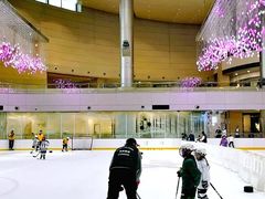 -冰纷万象滑冰场(深圳万象城店)