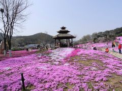 -棒棰岛宾馆景区