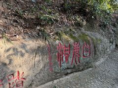 -白鹿洞书院