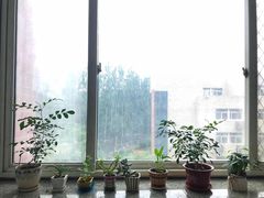 -沈阳师范大学-图书馆