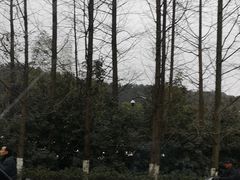 -良渚君澜度假酒店·中餐厅