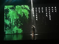 -合肥大剧院