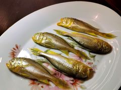 黄鱼饭-潮汕味道·煮海餐厅(金麟大厦店)