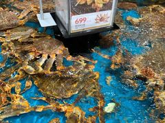 水产区-盒马鲜生(皇庭广场店)