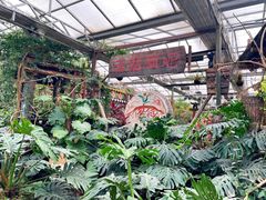 -呀路古热带植物园