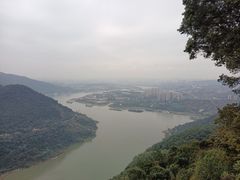 -铁山坪森林公园