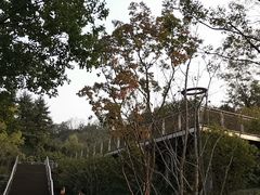 -苏州清山会议中心