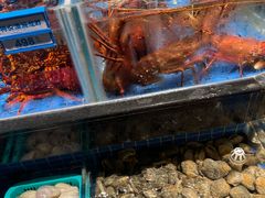 -青蓬蒸汽海鲜·深圳老字号·团建聚会(壹方城店)