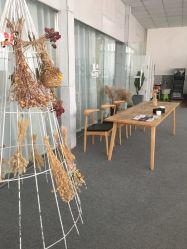 点击看大图 -OM瑜伽教练培训学院