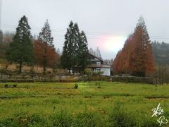 -山王坪喀斯特国家生态公园