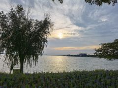 -漕湖湿地公园
