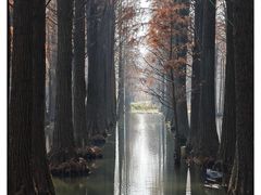 -西青郊野公园