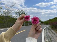 -定都阁