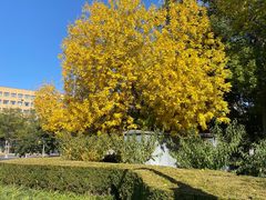 -元大都城垣遗址公园