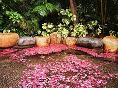 -厦门日月谷温泉渡假村