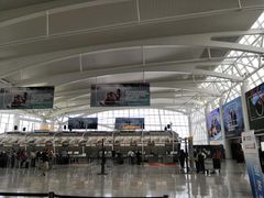 值机大厅-约翰·菲茨杰拉德·肯尼迪国际机场