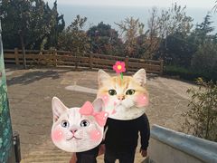 -东方熊牧场