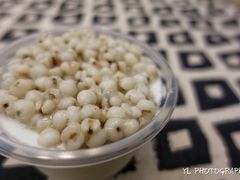 薏米双皮奶-老周记顺德双皮奶