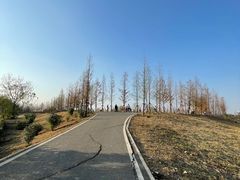 -金银湖国家城市湿地公园