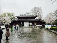 -堤角公园