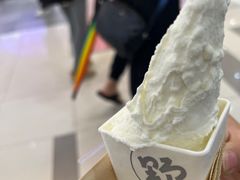 -野人先生Gelato(上海长宁龙之梦店)