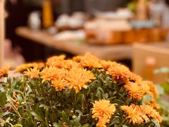 -艾加柒克蛋糕茶歇甜品台(春熙路店)