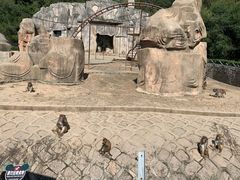-哈尔滨北方森林动物园