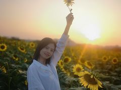 -光明小镇欢乐田园