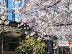 -玛格萝妮比萨屋(四平店)